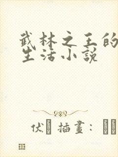 武林之王的退隐生活小说