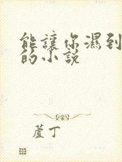 能让你湿到不行的小说封面