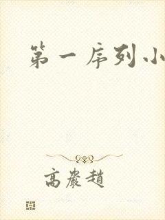 第一序列小说封面