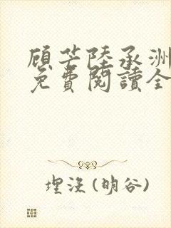 顾芒陆承洲小说免费阅读全文免费阅读下载封面