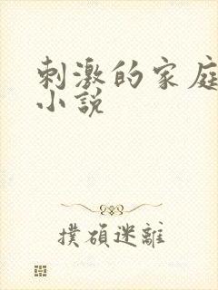 刺激的家庭乱仑小说