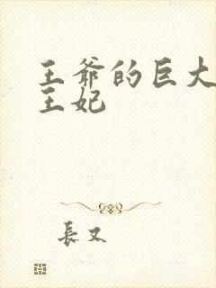 王爷的巨大进入王妃封面