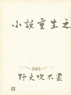 小说重生之官道封面