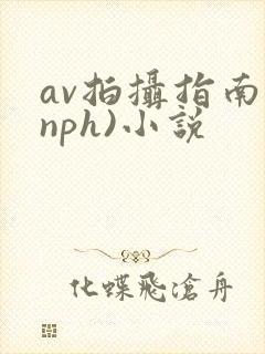 av拍摄指南(nph)小说