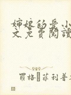 婶娘的爱小说全文免费阅读封面