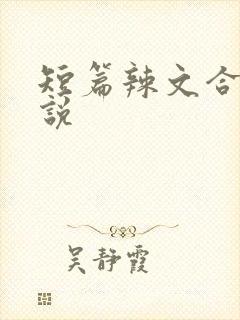 短篇辣文合集小说封面
