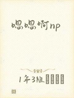 嗯嗯啊np封面