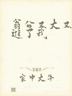 翁公又大又粗挺进了我