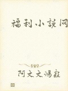 福利小说网封面