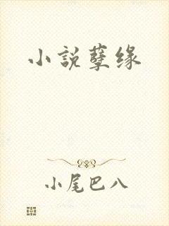 小说孽缘