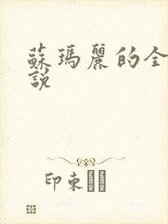 苏玛丽的全部小说