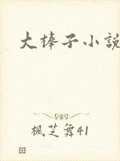 大棒子小说封面