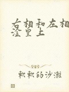 右相和左相一起淦皇上封面