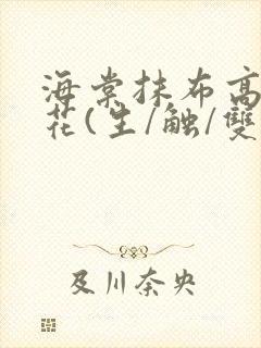 海棠抹布高岭之花(生/触/双)