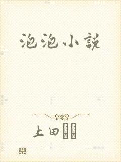 泡泡小说
