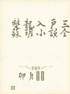 双龙入户三人行苏玥小说全文阅读