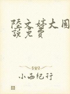 陆文婷大团圆小说免费