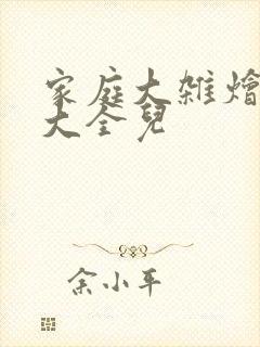 家庭大杂烩小说大全儿