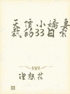 天价小娇妻,总裁的33日索情全文免费封面