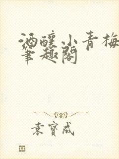 酒酿小青梅po笔趣阁