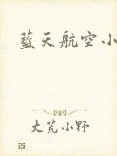 蓝天航空小说封面