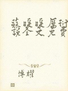 苏暖暖厉衍琛小说全文免费阅读封面