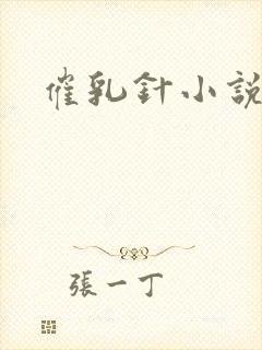 催乳针小说