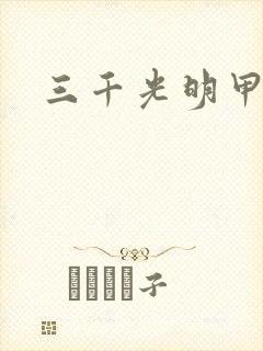 三千光明甲