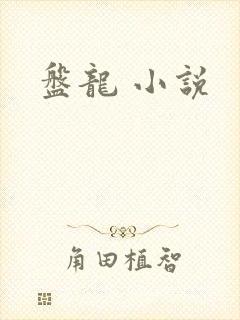 盘龙 小说封面