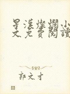 星汉灿烂小说全文免费阅读