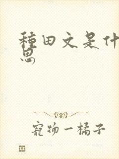 种田文是什么意思