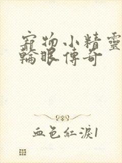 宠物小精灵之写轮眼传奇