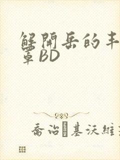 解开岳的丰满奶罩BD