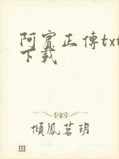 阿宾正传txt下载封面