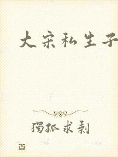 大宋私生子