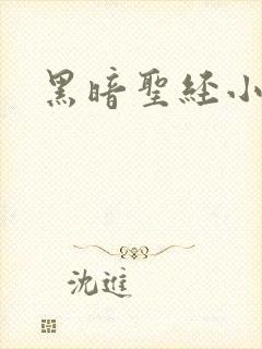 黑暗圣经小说封面