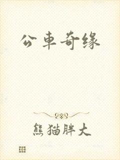 公车奇缘