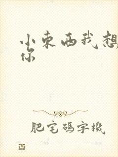 小东西我想弄坏你