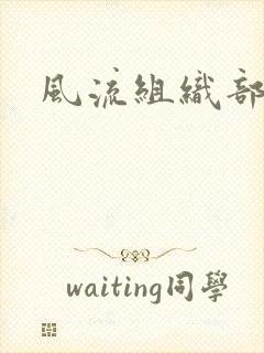 风流组织部长封面