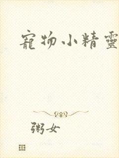 宠物小精灵漫画封面