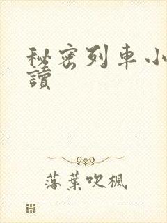 秘密列车小说阅读