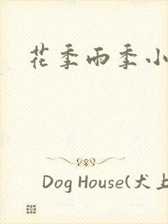 花季雨季小说封面