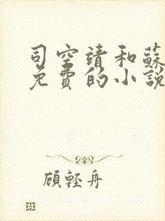 司空靖和苏月汐免费的小说笔趣阁封面