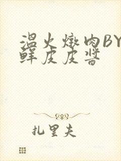 温火炖肉BY海鲜皮皮酱