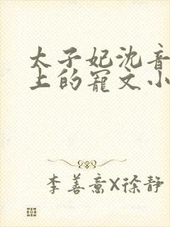 太子妃沈音和皇上的宠文小说