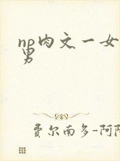 np肉文一女多男