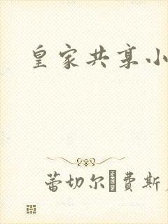 皇家共享小公主封面