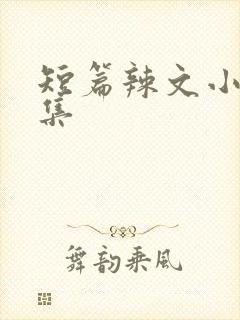 短篇辣文小说合集