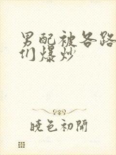 男配被各路大佬们爆炒