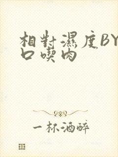 相对湿度BY大口吃肉